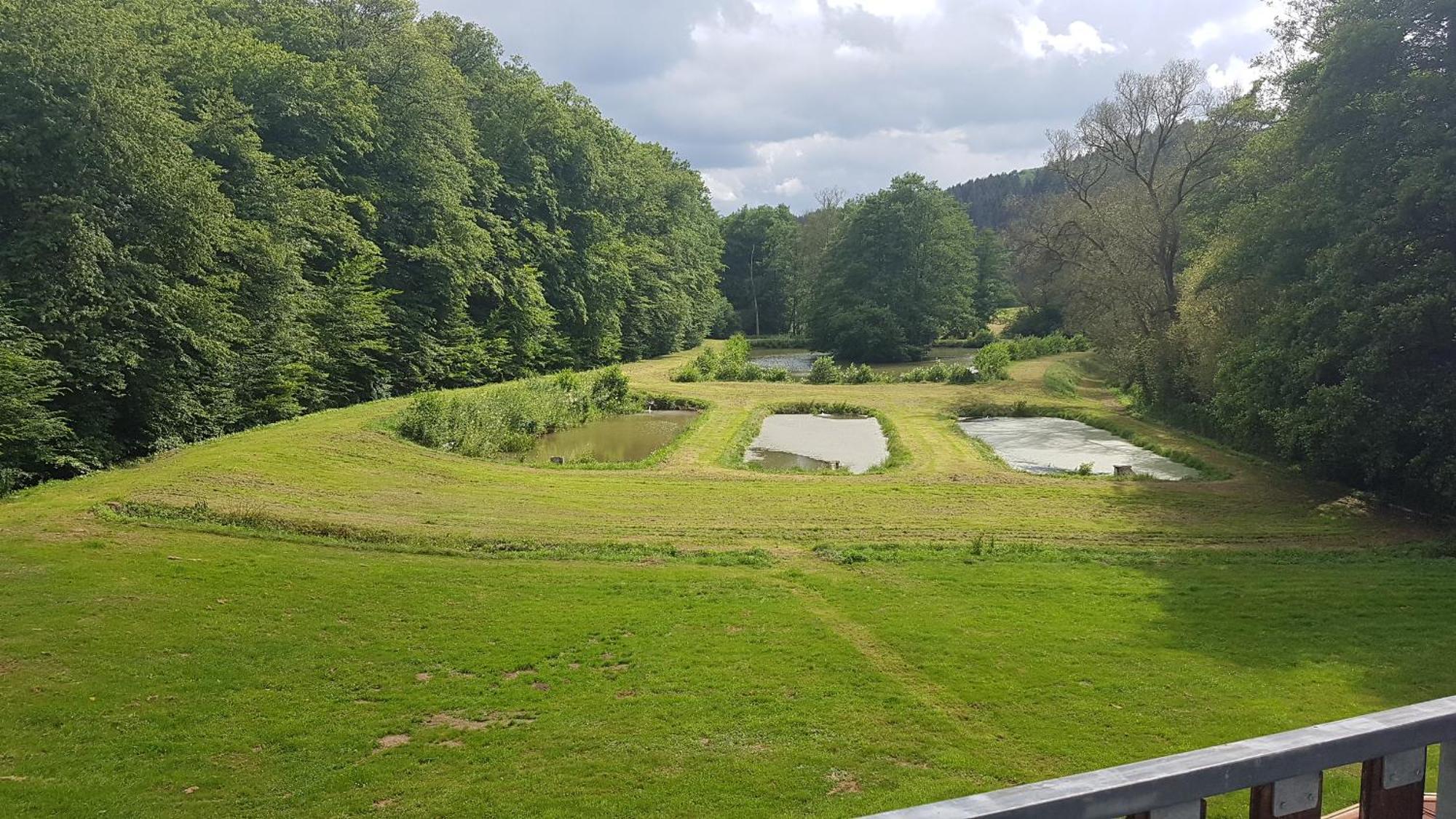 Pulgersmuehle, Eg Lägenhet Altstrimmig Exteriör bild